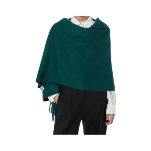 Cashmere Stole With Embroidery And Fringing