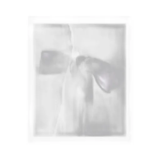 Cecilie Bahnsen Bridget Oversized Shirt