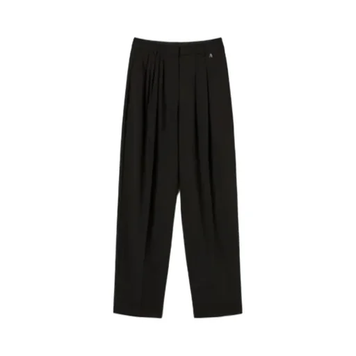 Pleated Palazzo Pants