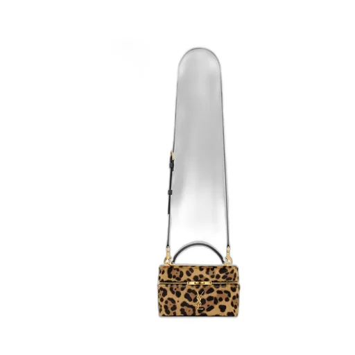 Saint Laurent Gaby Vanity Bag