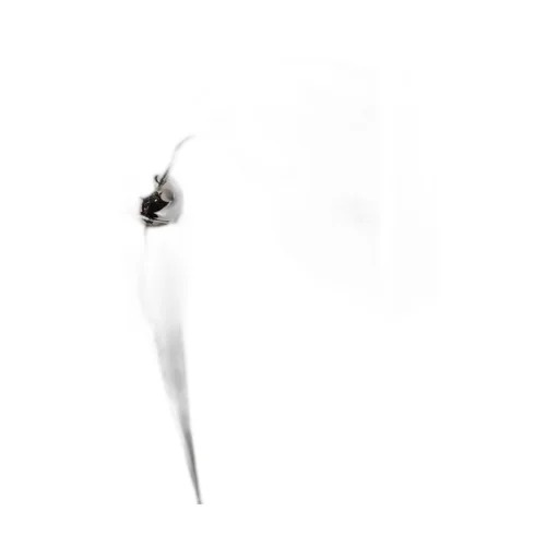 Spoon-Shaped Earrings