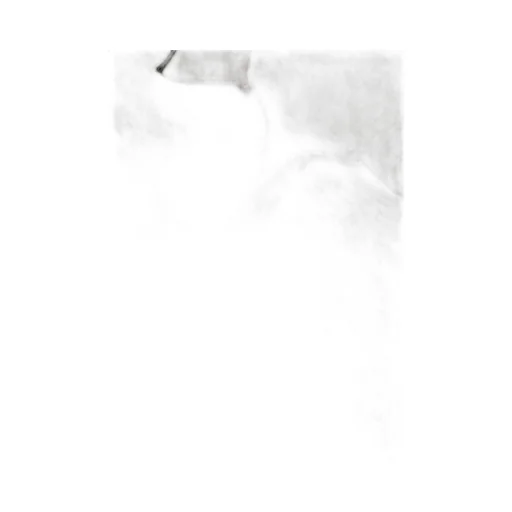 Waitaki Polo Shirt