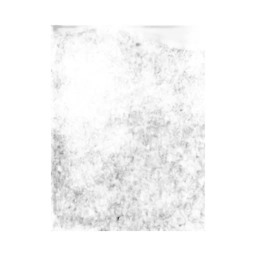 Junya Watanabe Sequin Embellished Top
