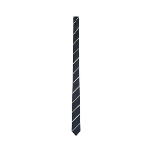 Stripe Tie
