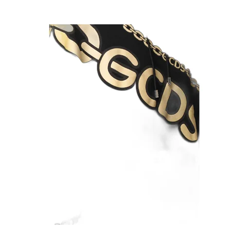 Gcds Logo Printed Drawstring Hoodie