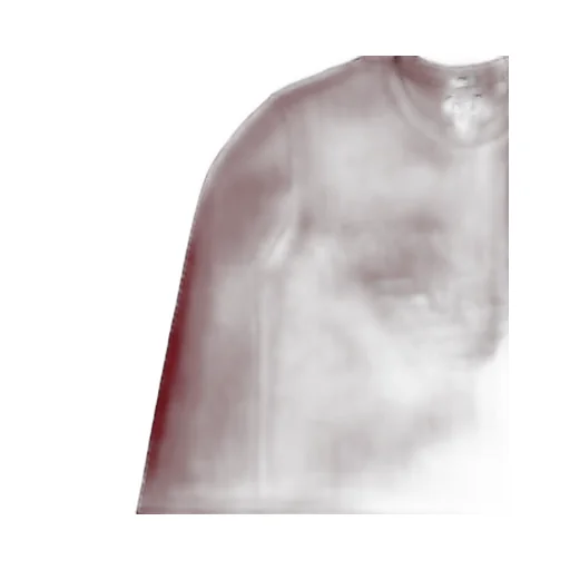 T-Shirt With Round Neck And Long Sleeves