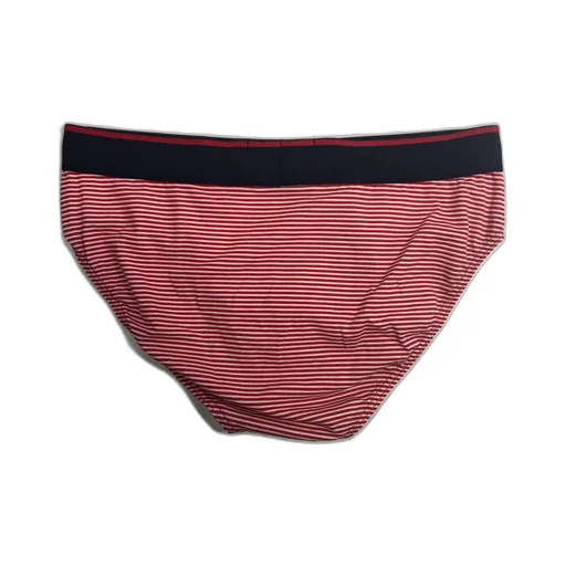 Logo Triangle Panties