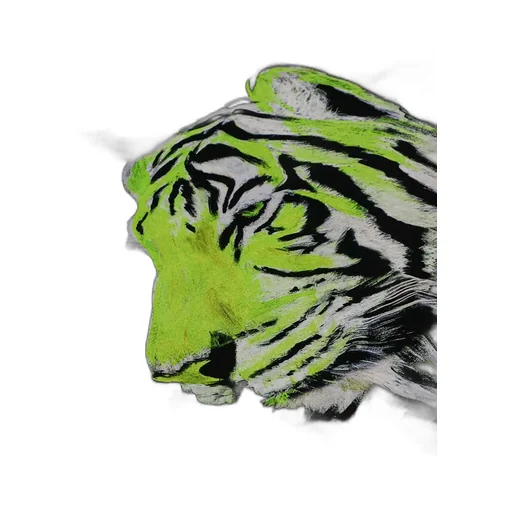 Print T-Shirt