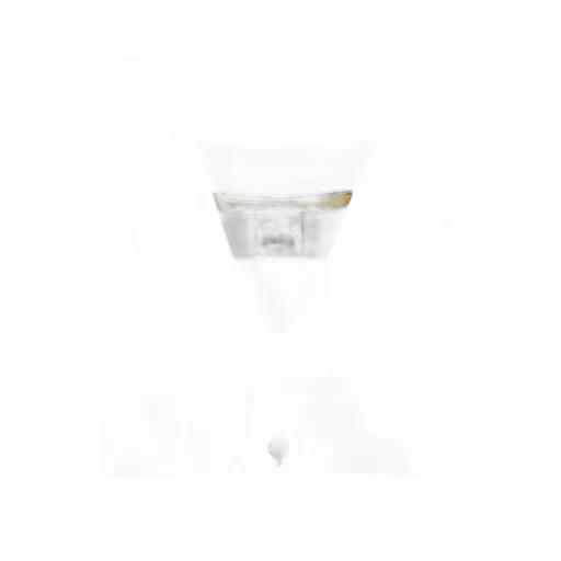 Logo Embroidered Polo Shirt