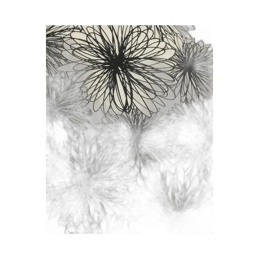 Printed T-Shirt With Round Neck