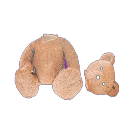 Bear Cotton Sweatshirt