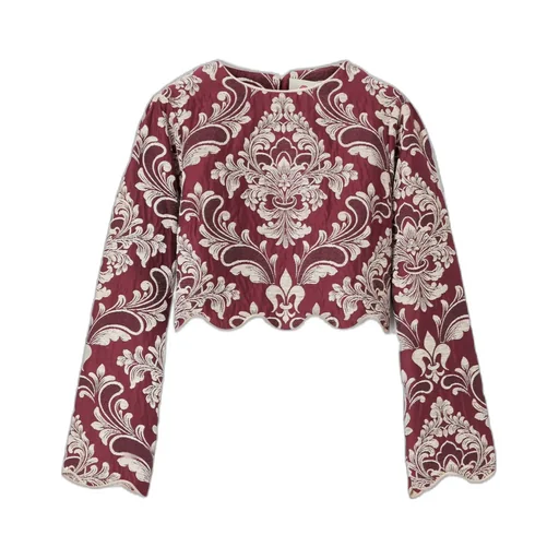 Long-Sleeved Short Top