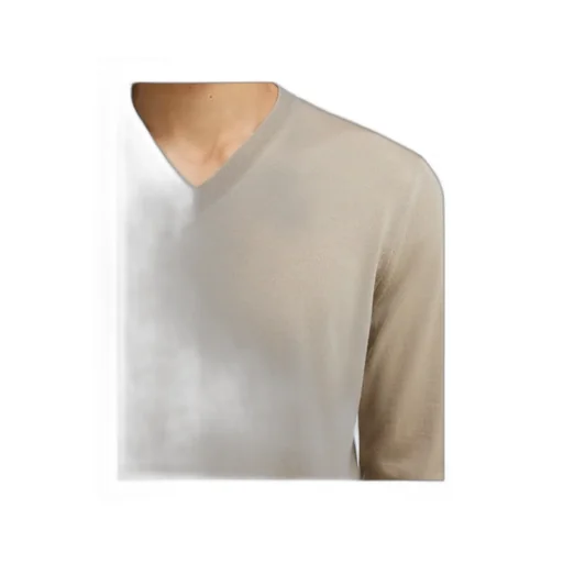 V-Neck Sweater