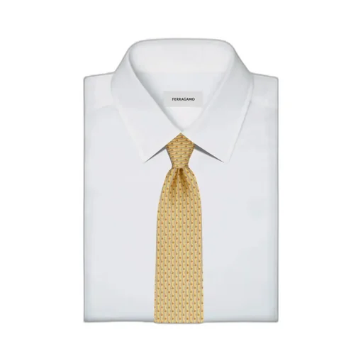 Ferragamo Tennis Printed Tie