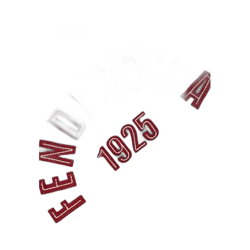 Fendi Kids Logo Patch Hoodie