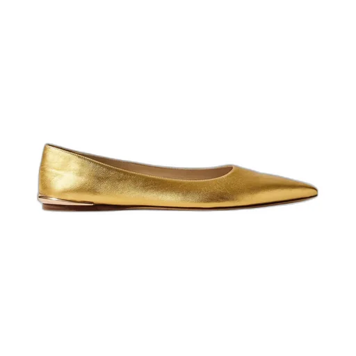 Fleur Embellished Metallic Leather Ballet Flats