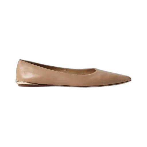 Pointed Toe Flats