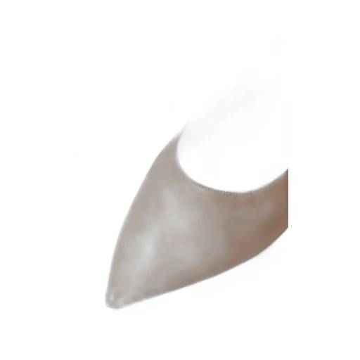 Pointed Toe Flats