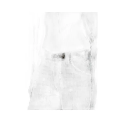 Jane Belt