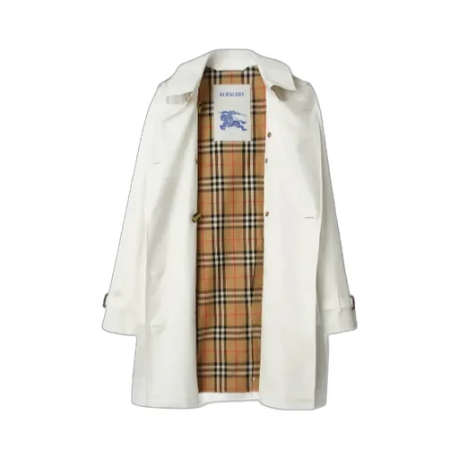 Double-Breasted Trench Coat