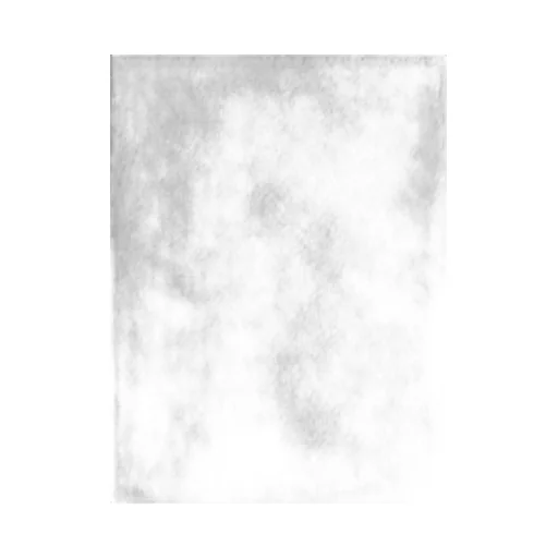 Tasseled Scarf