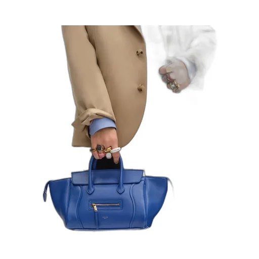 Small New Luggage In Supple Shiny Lambskin
