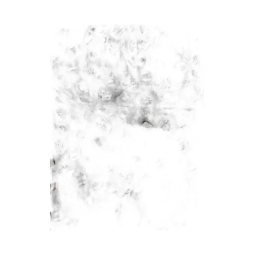Printed Silk Oversized Scarf