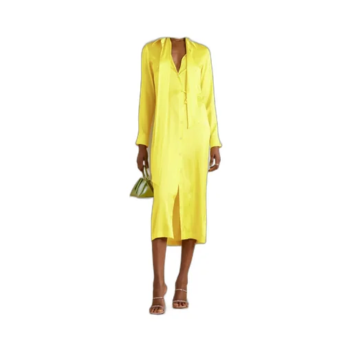 Shirt Dress