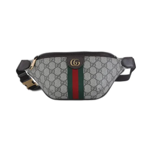 Gucci Gg Monogram Belt Bag