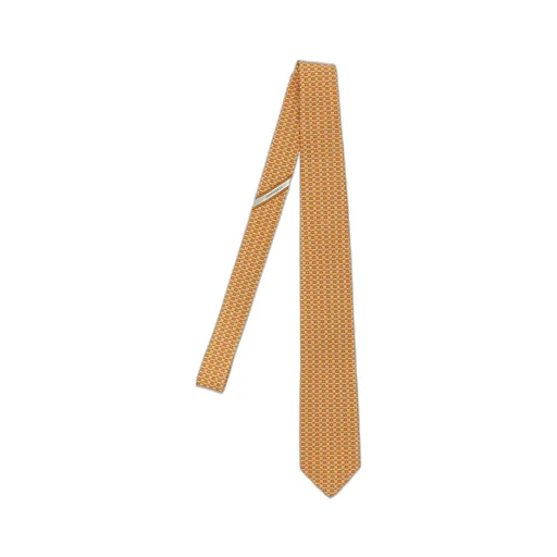 Printed Tie