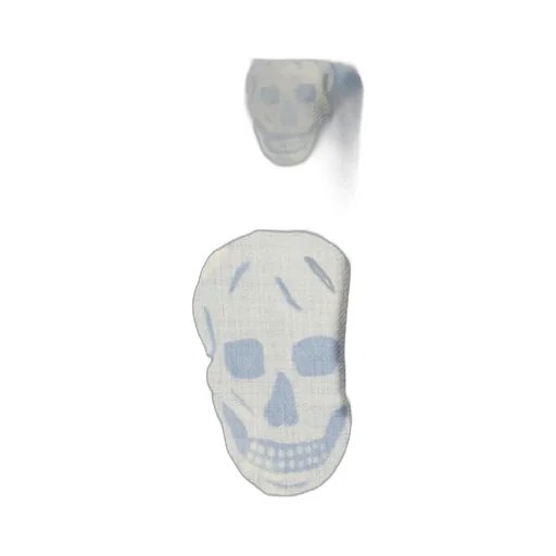 Alexander Mcqueen Skull Printed Fringed Edge Scarf
