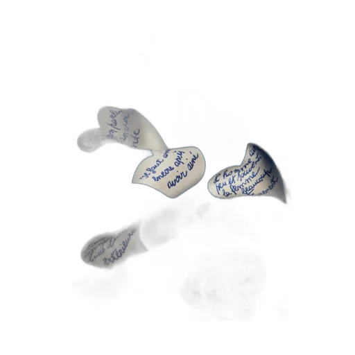 Printed Silk Scarf
