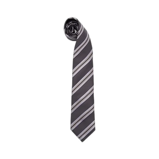 Striped Silk Tie