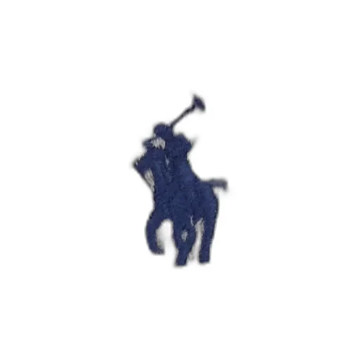 Polo Ralph Lauren Zip-Up Drawstring Hoodie
