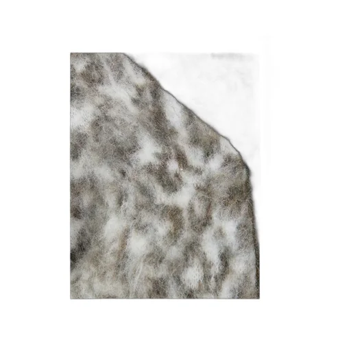 D.Exterior Animal Print Cropped Cardigan