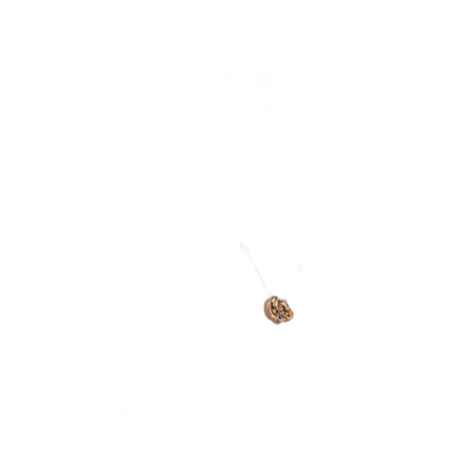 Coach Pendant Detailed Chain Necklace