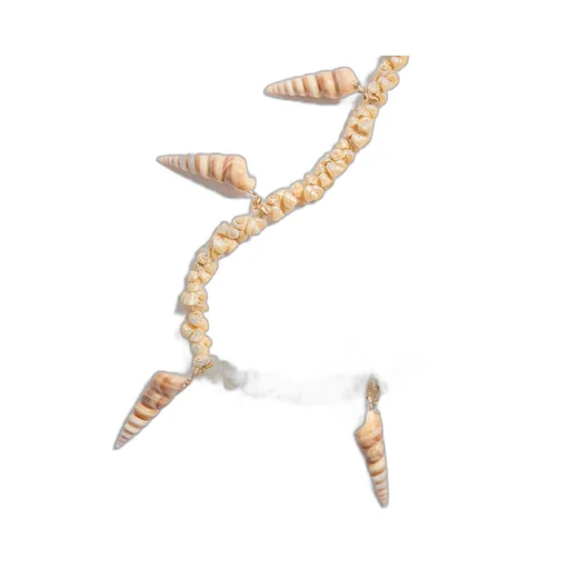 Jardin Aquatique Necklace In Metal And Shells