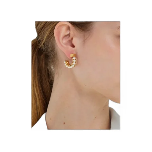 Pendant Earrings