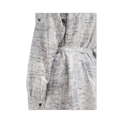 Shirt Dress