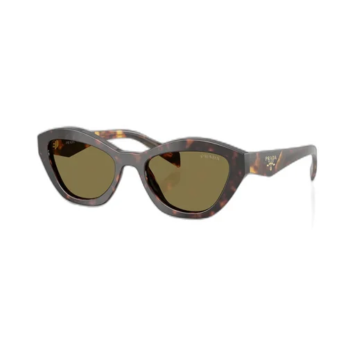 Prada Eyewear Butterfly Frame Sunglasses