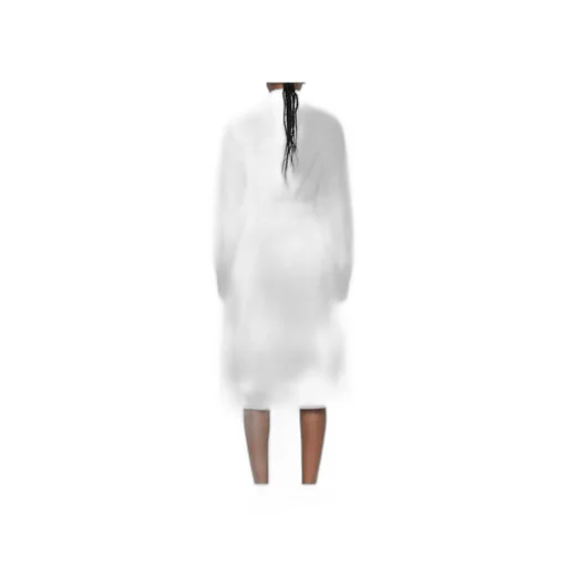 Polo Ralph Lauren Long-Sleeved Shirt Dress
