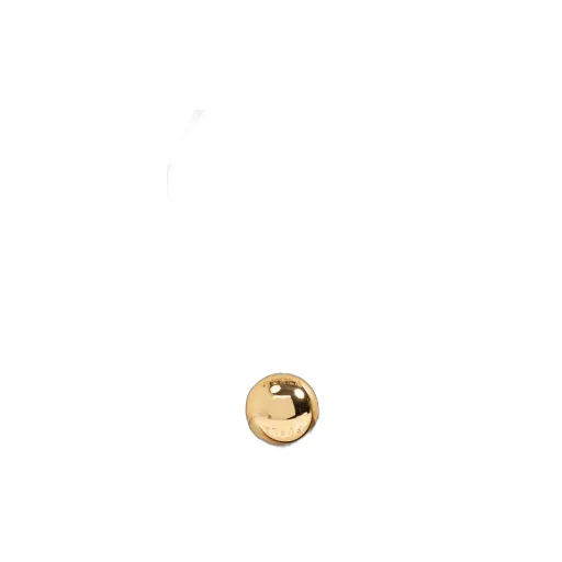 Logo Handbag