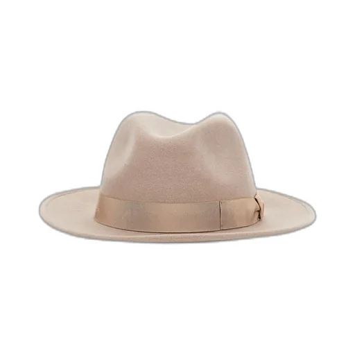 Brim Hat