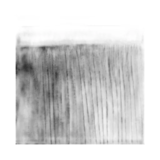 Fabiana Filippi Wide Pleated Tulle Skirt