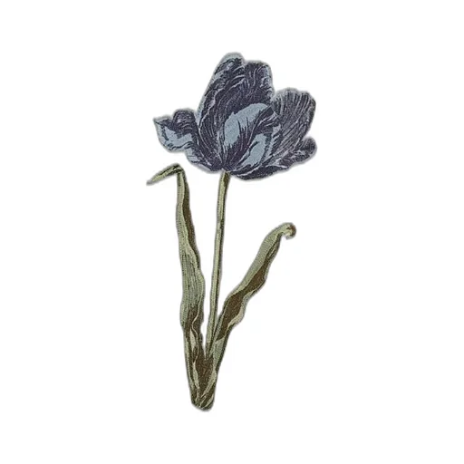 Tulip-Embroidered Dress
