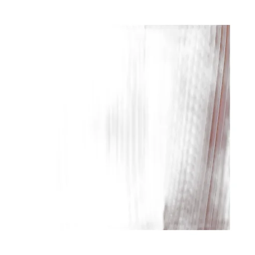 Fabiana Filippi Pleated Skirt