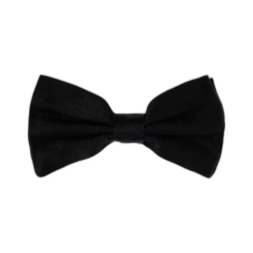 Dolce & Gabbana Bow Tie