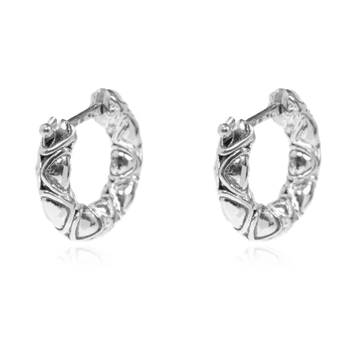 Hoop Earrings