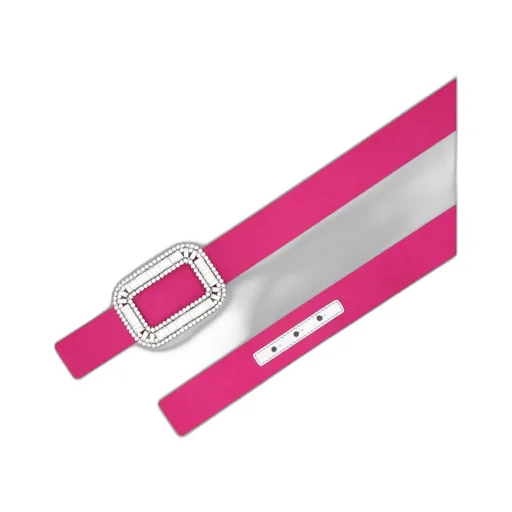 Pilgrim Belt In Satin