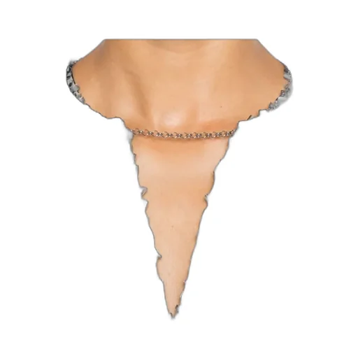 Sequin Embellished Top